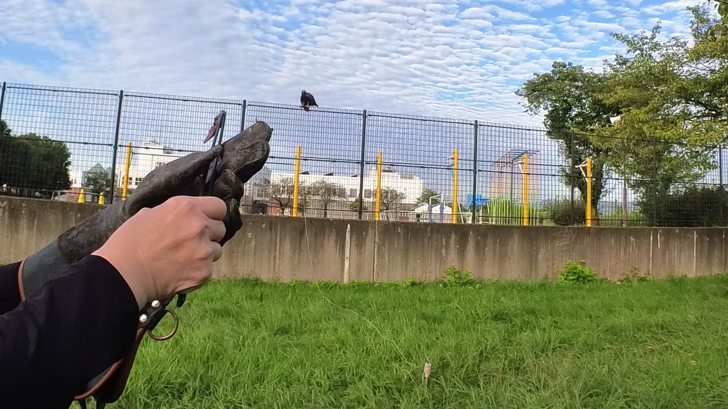 高所訓練　スモールステップス