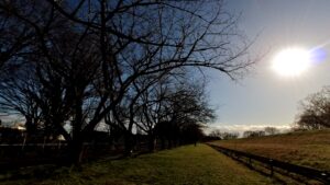 鷹匠になるには