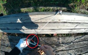 ガイド　ひも付き　フライトトレーニング