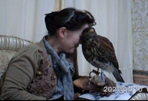 鷹匠になるには