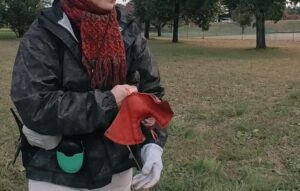 ルアー ハリスホーク