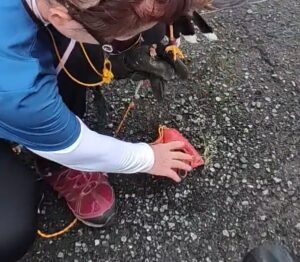 ルアー 据え上げ