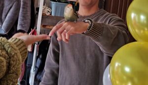 コザクラインコ ラブバード