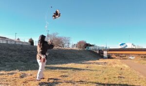 ルアー ハリスホーク