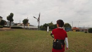 フライトトレーニング ハリスホーク