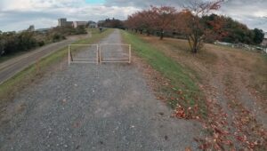 フライトトレーニング ハリスホーク