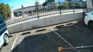 ルアー ハリスホーク