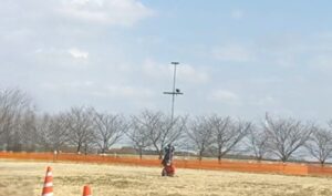 フライトフェスタ ハリスホーク アジリティ