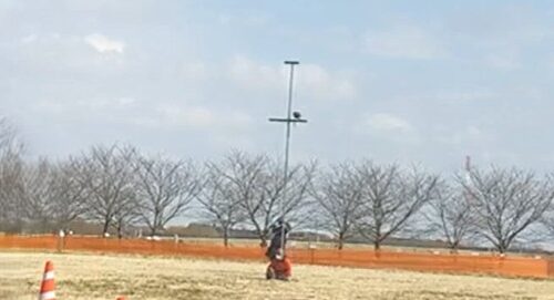 フライトフェスタ　ハリスホーク　アジリティ