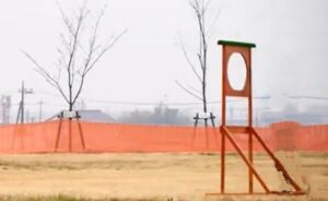 フライトフェスタ ハリスホーク アジリティ