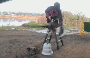 ハリスホーク　筋力アップトレーニング