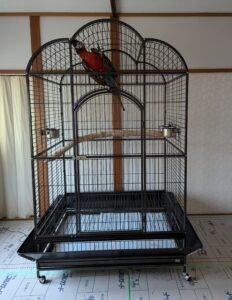 ケージ インコ オウム