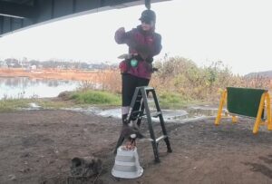 ハリスホーク　筋力アップトレーニング