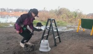 ハリスホーク　筋力アップトレーニング