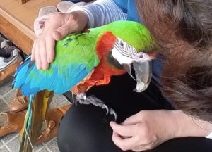 慣らしのトレーニング