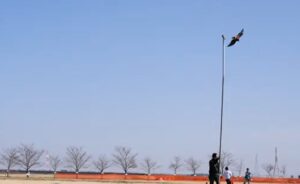 フライトフェスタ ハリスホーク アジリティ