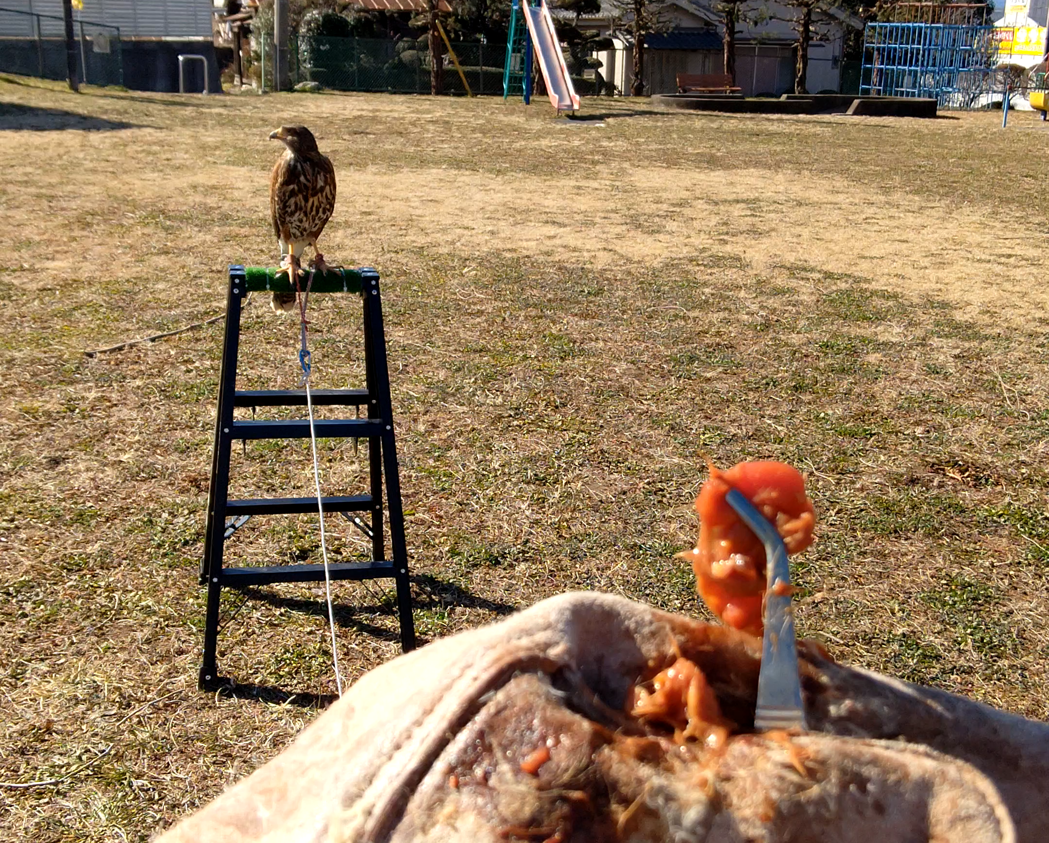 紐付きトレーニング　