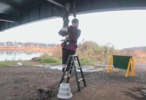 ハリスホーク　筋力アップトレーニング