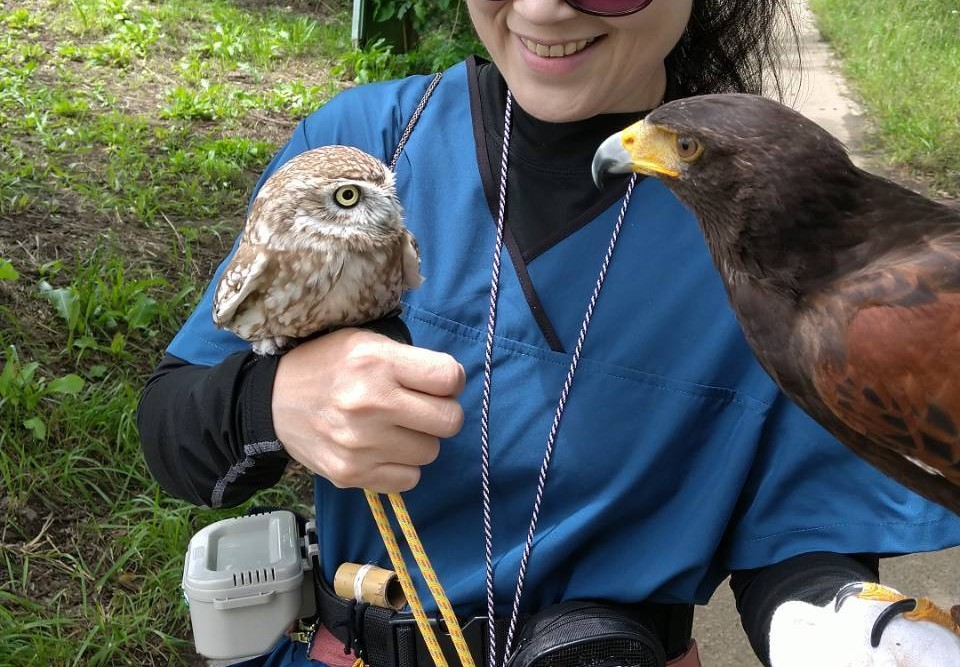 猛禽類　タカ　フクロウ