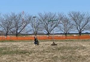 フライトフェスタ ハリスホーク アジリティ