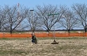 フライトフェスタ　ハリスホーク　アジリティ