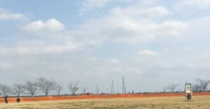 フライトフェスタ ハリスホーク アジリティ