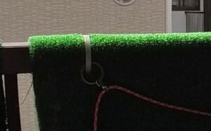 鷹　係留　不適切な道具