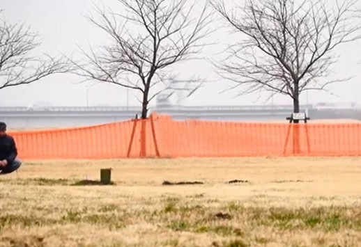 フライトフェスタ　ハリスホーク　アジリティ