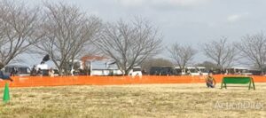 フライトフェスタ ハリスホーク アジリティ