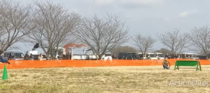 フライトフェスタ　ハリスホーク　アジリティ