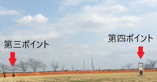 フライトフェスタ　ハリスホーク　アジリティ