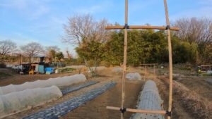 フライトフェスタ　ハリスホーク　アジリティ