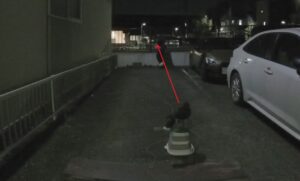 フライトフェスタ　ハリスホークアジリティ