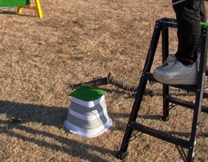 フライトフェスタ　ハリスホーク　アジリティ