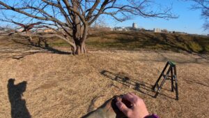 フライトフェスタ　ハリスホーク　アジリティ