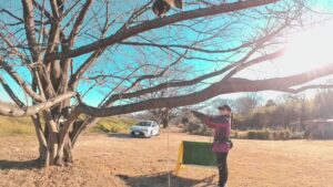 フライトフェスタ　